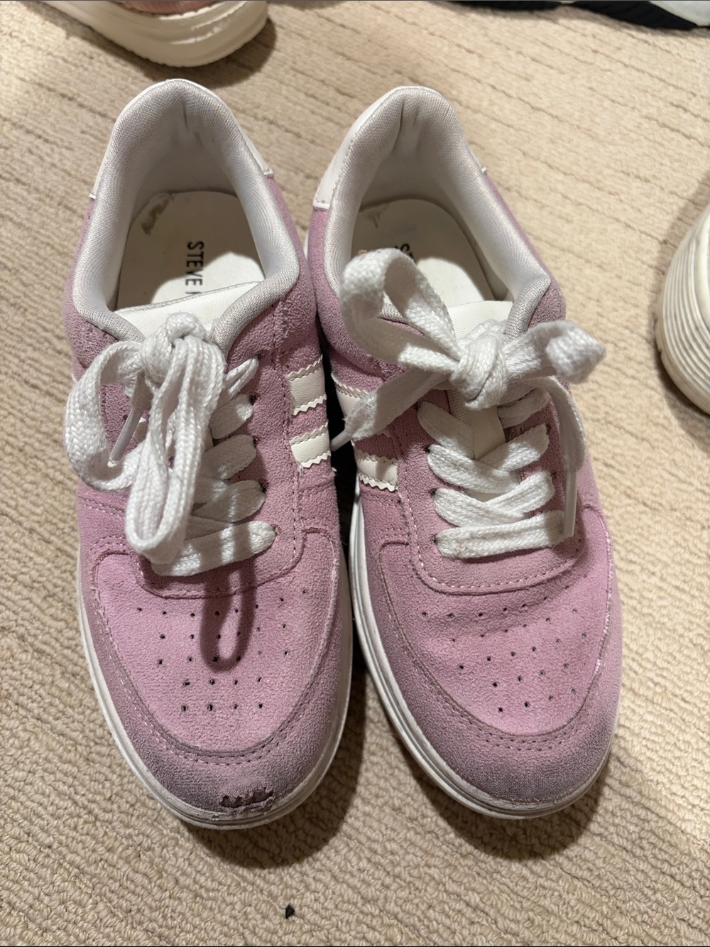 Steve Madden Lavender Pink Suede Low-Top Sneakers